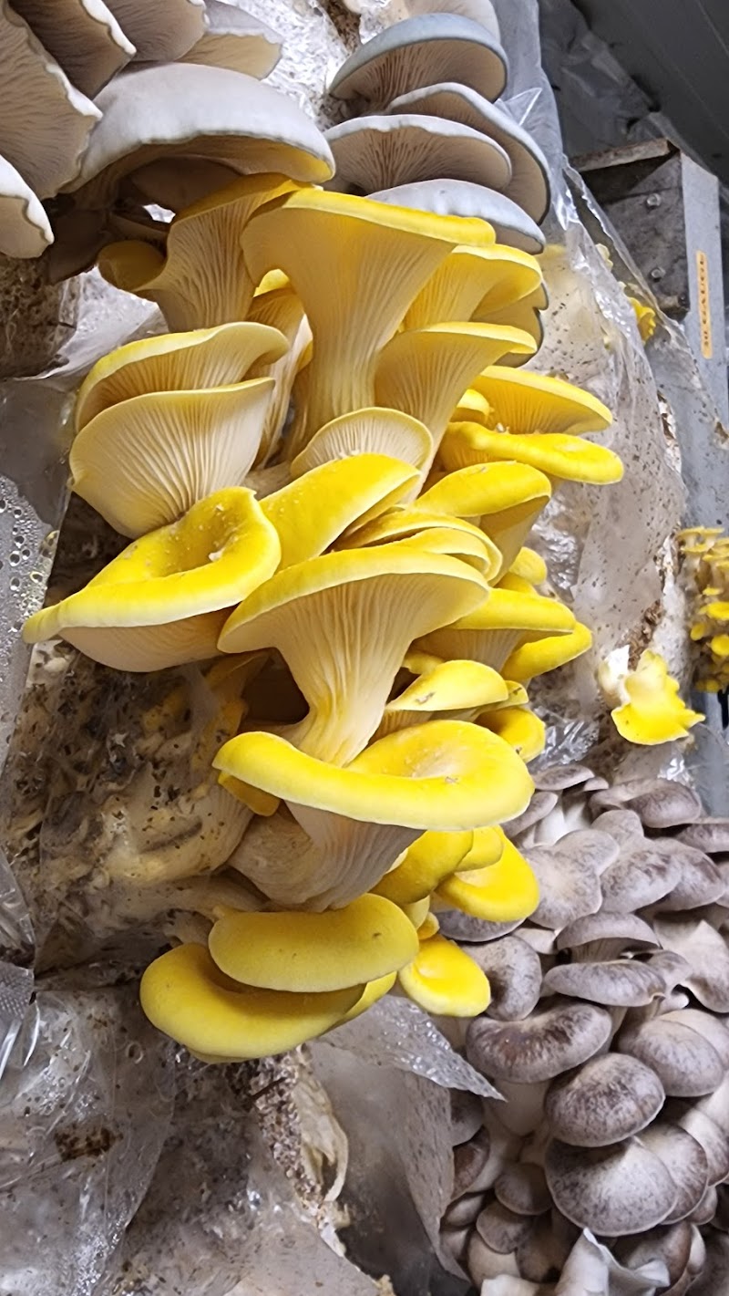 Flyway Family Farm LLC