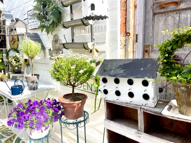 Rustic and Reclaimed Market