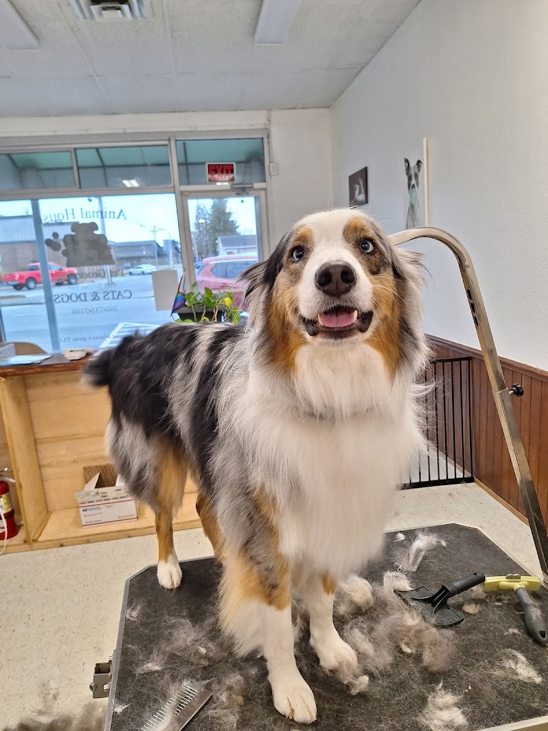 Animal House Pet Grooming