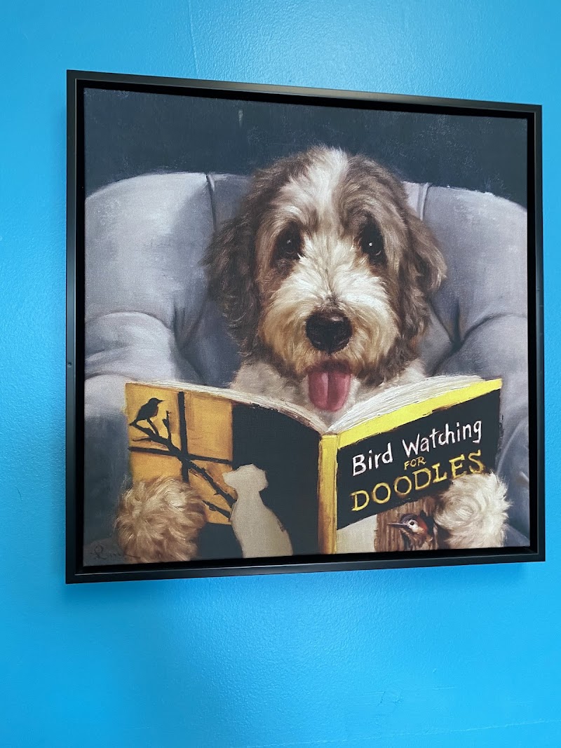 Daisy's Doggie Daycare 