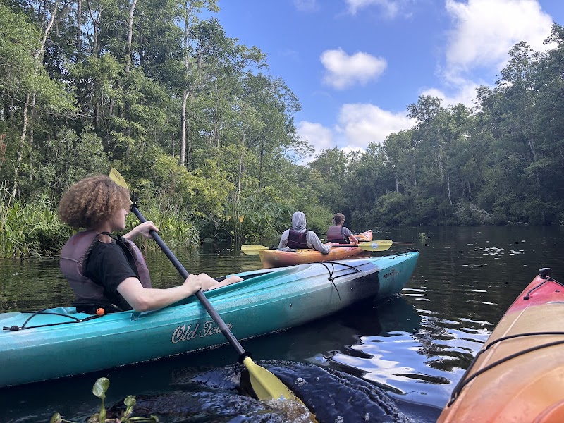Amelia Island Adventures