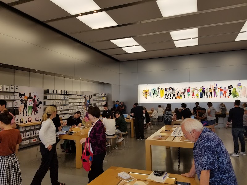 THE APPLE STORE