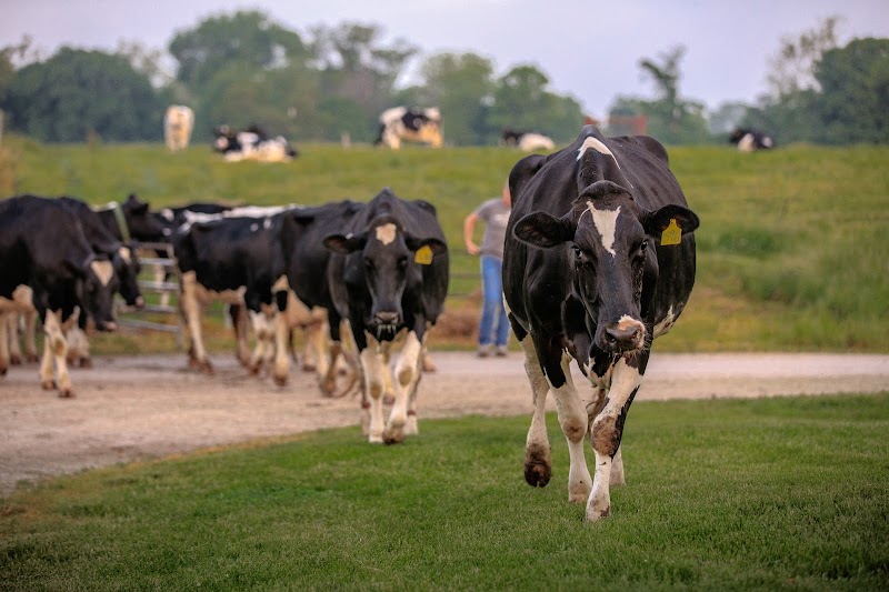Rolling Lawns Farm / The Milk House