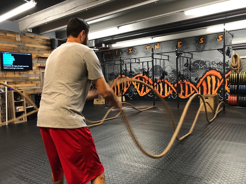 DNA Fitness