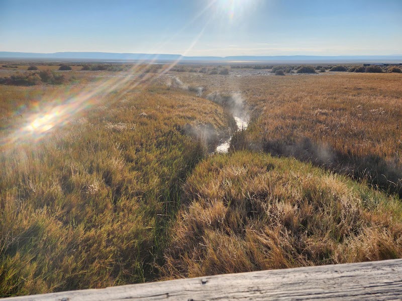 Alvord Hot Springs