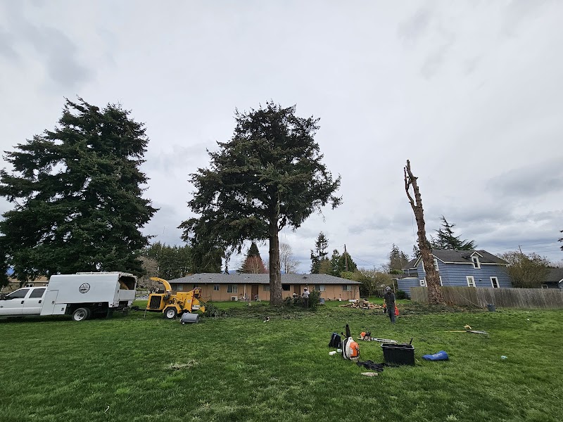 Birch Equipment Rental & Sales