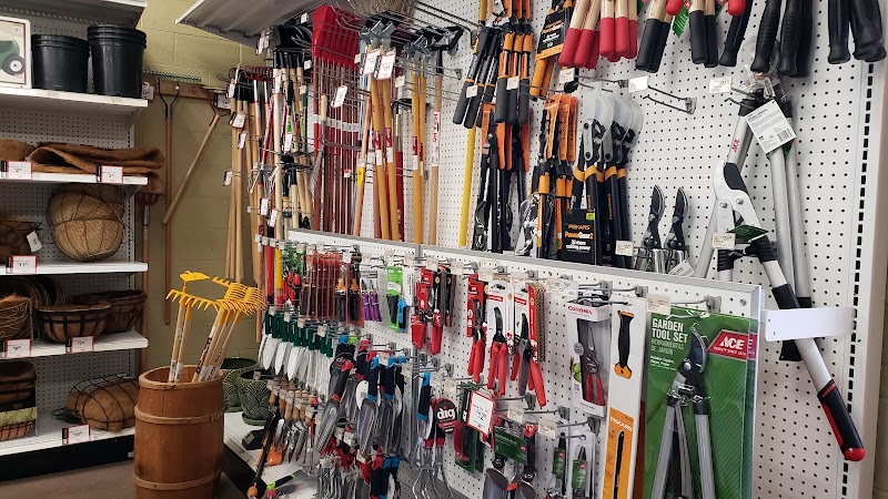 Ferndale Ace Hardware