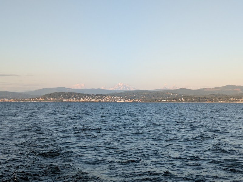 Gato Verde Adventure Sailing