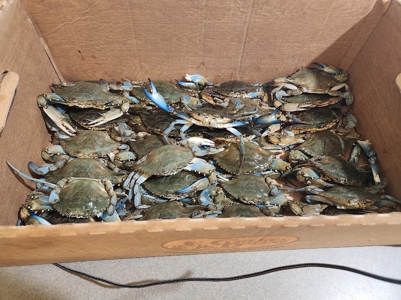 Sea to Shore Seafood Co