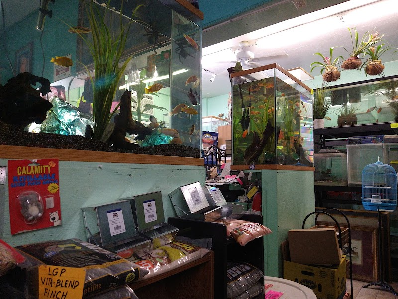Lemon Grove Pet Supplies & Exotics