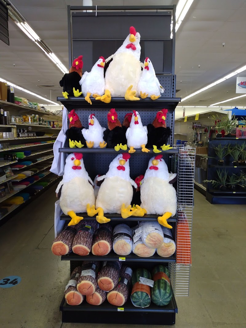 ACE Hardware Palm Springs