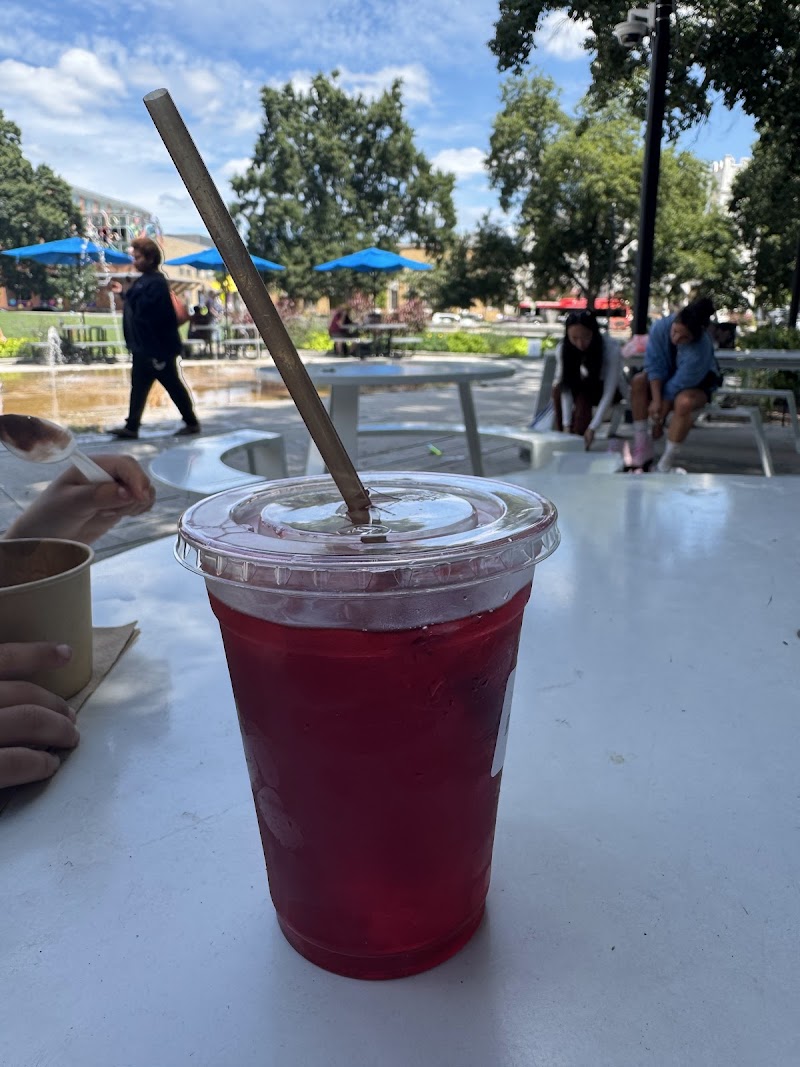Lucky Tree At Moore Square