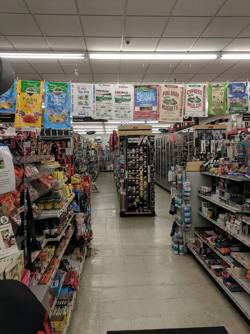 Lemoi Ace Hardware