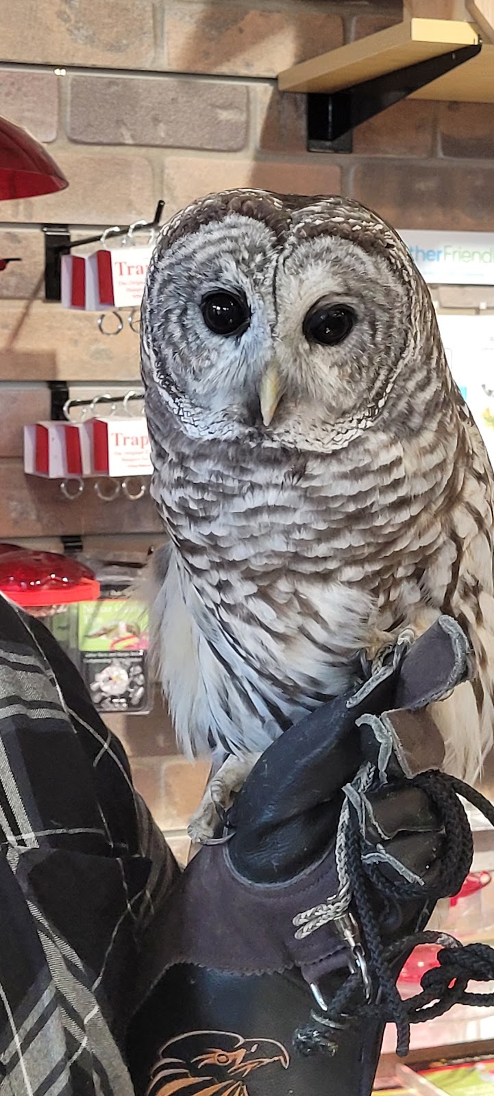 Wild Birds Unlimited of Old Saybrook