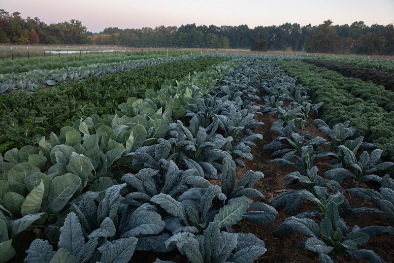 Bloomington Farm Stop Collective