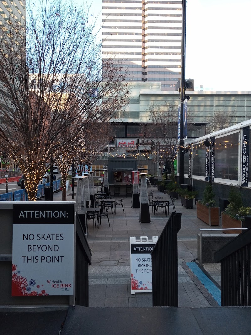 Fountain Square Ice Rink (online)