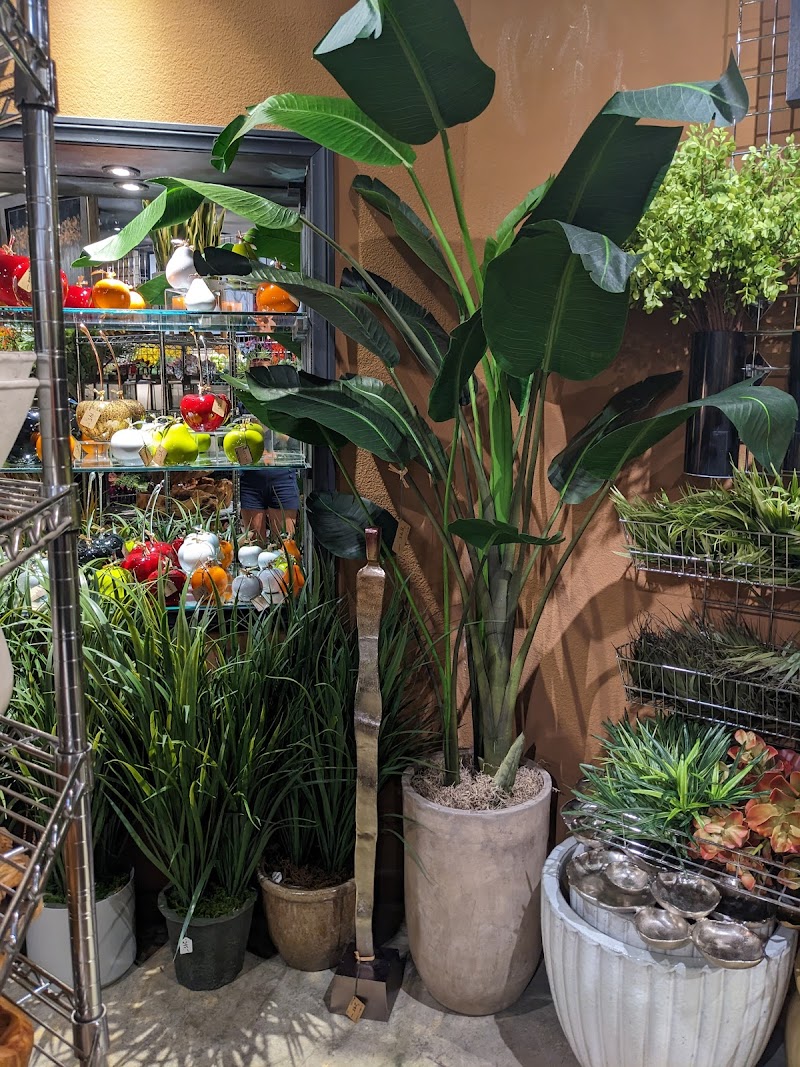 Plants and cards 4 u