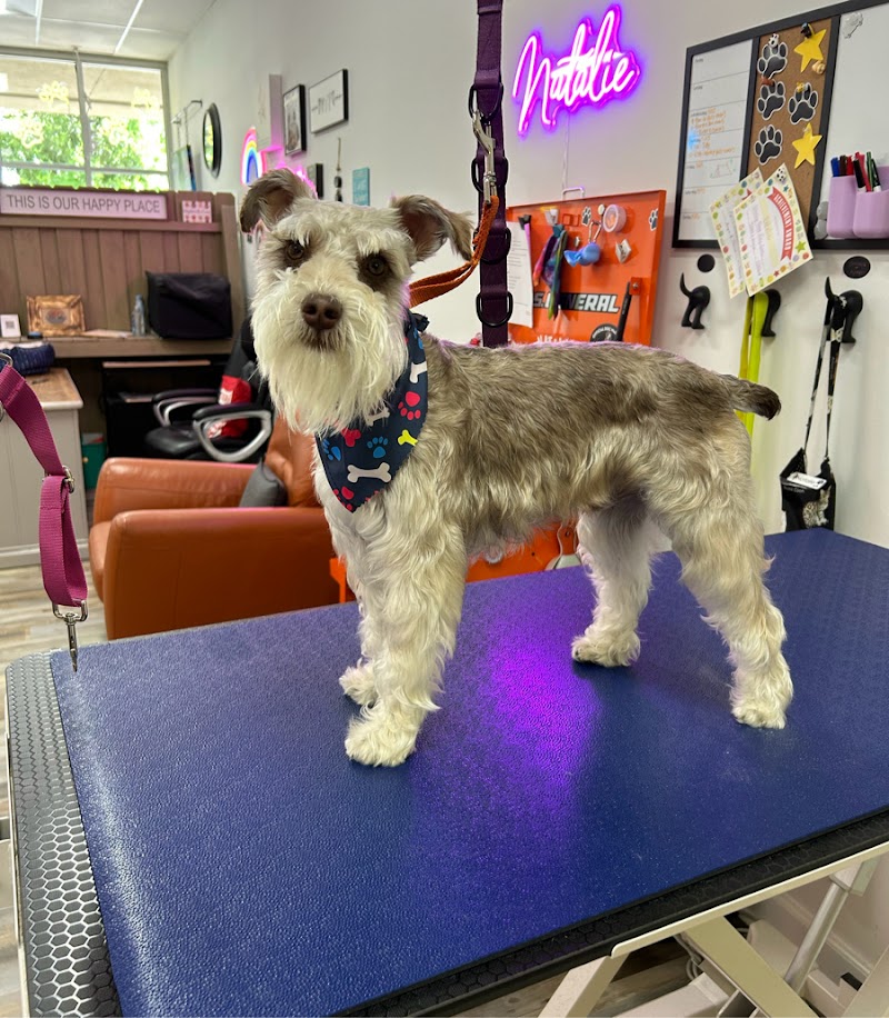 Harper and Friends Dog Grooming
