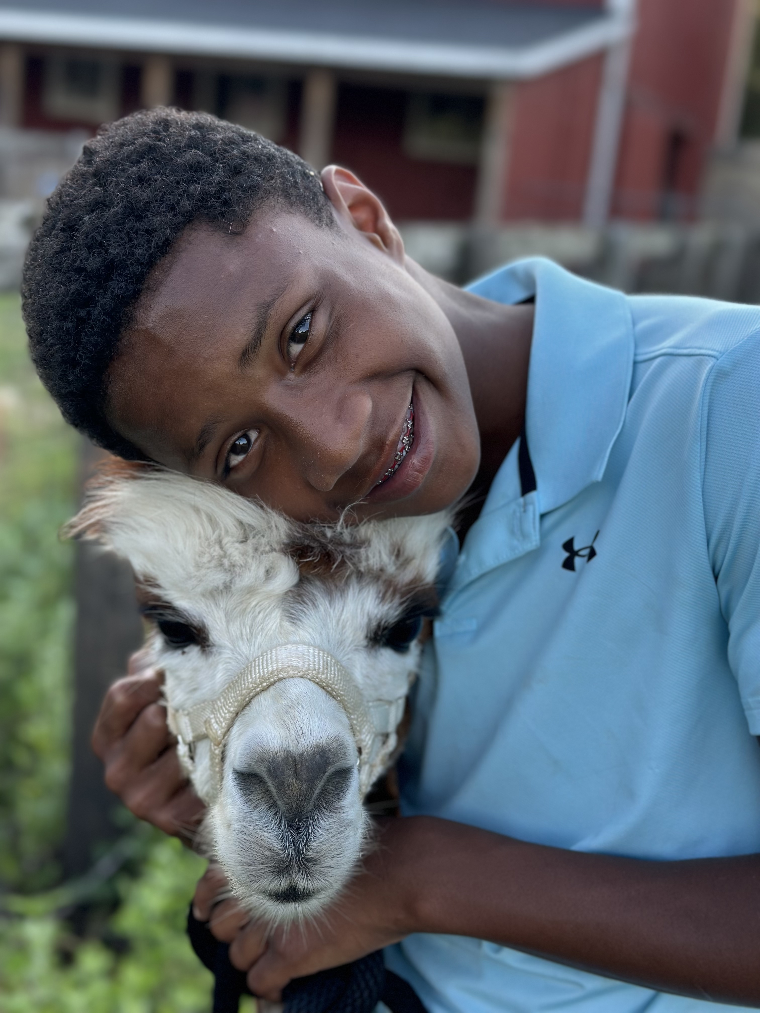 Promiseland Farm LLC