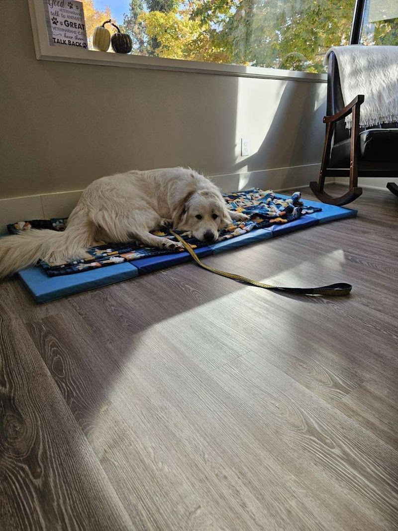 Happy Paws & Claws Veterinary Clinic