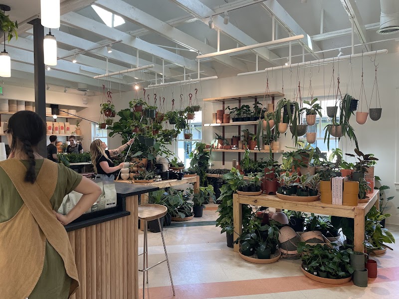 The Victorian Atlanta