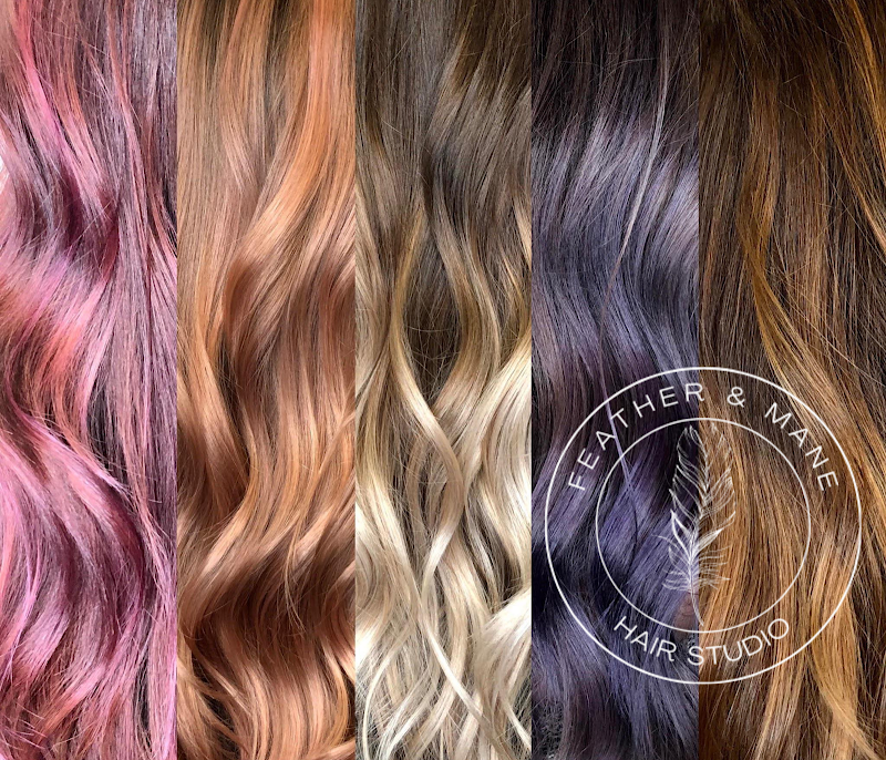 Feather and Mane Hair