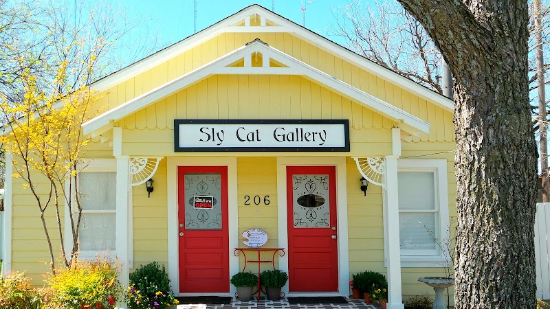 Sly Cat Gallery - Historic Downtown