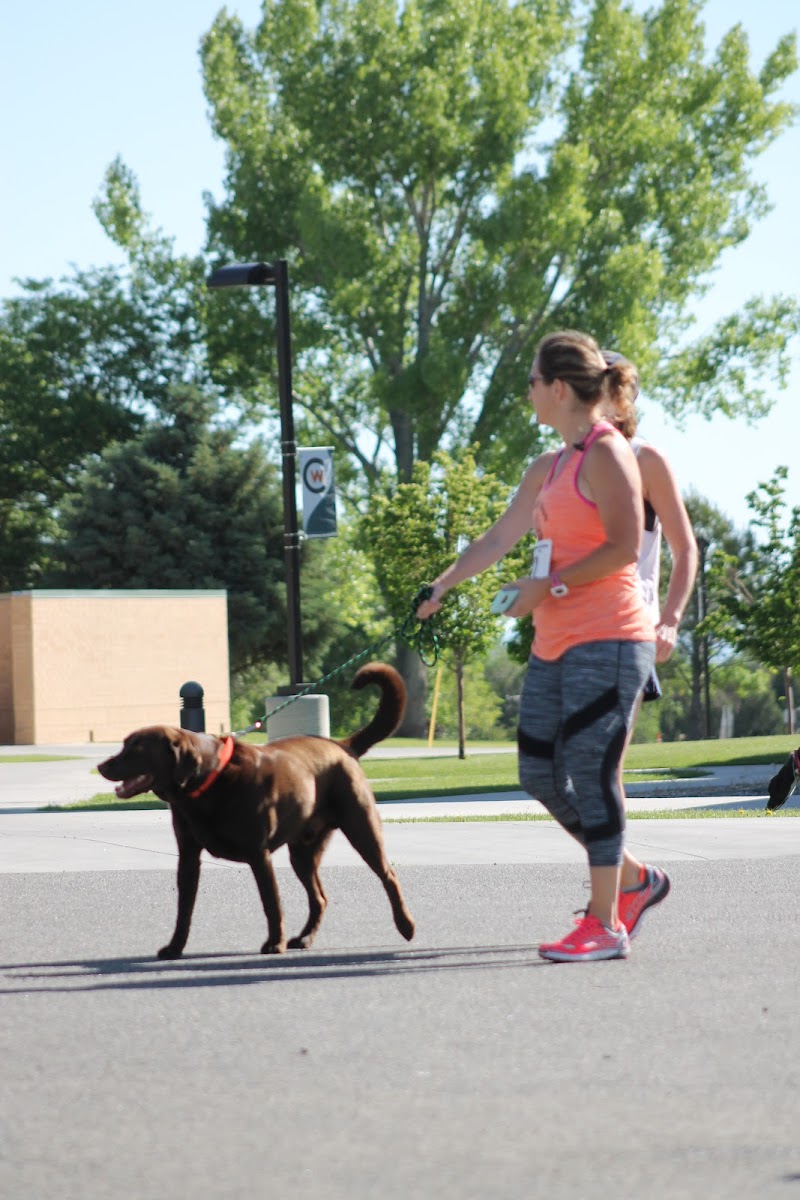 The Stock Doc Veterinary Clinic