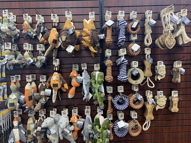 Well Bred Bernardsville 