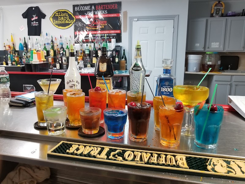 National Bartenders School