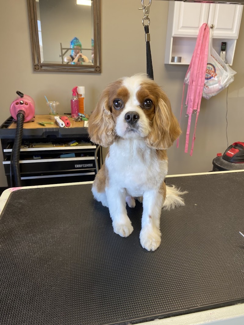 RuffCraft Pet Grooming