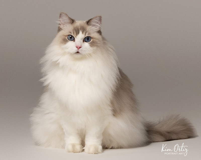 Kim Ortiz Portrait Art