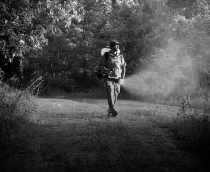 The Mosquito Militia & Mid-Sota Wildlife Ops