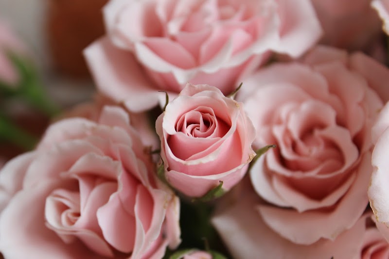 Designs on the Boulevard