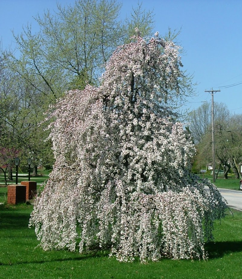 Mathies Landscaping, Inc.