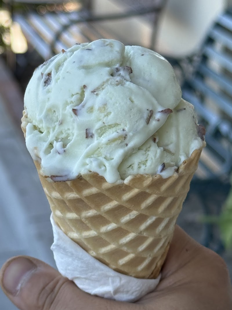 Neveria Costa Alegre