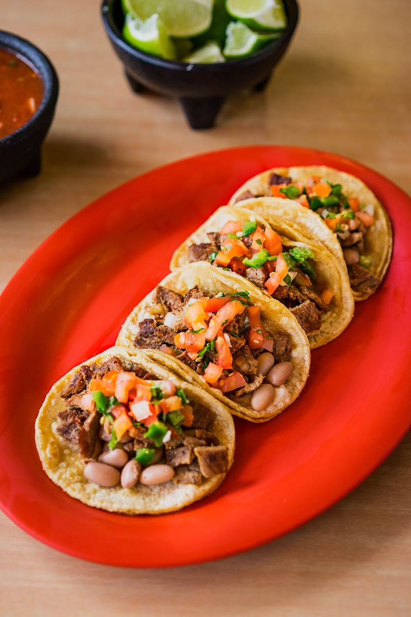 Mexico Tortilla Factory