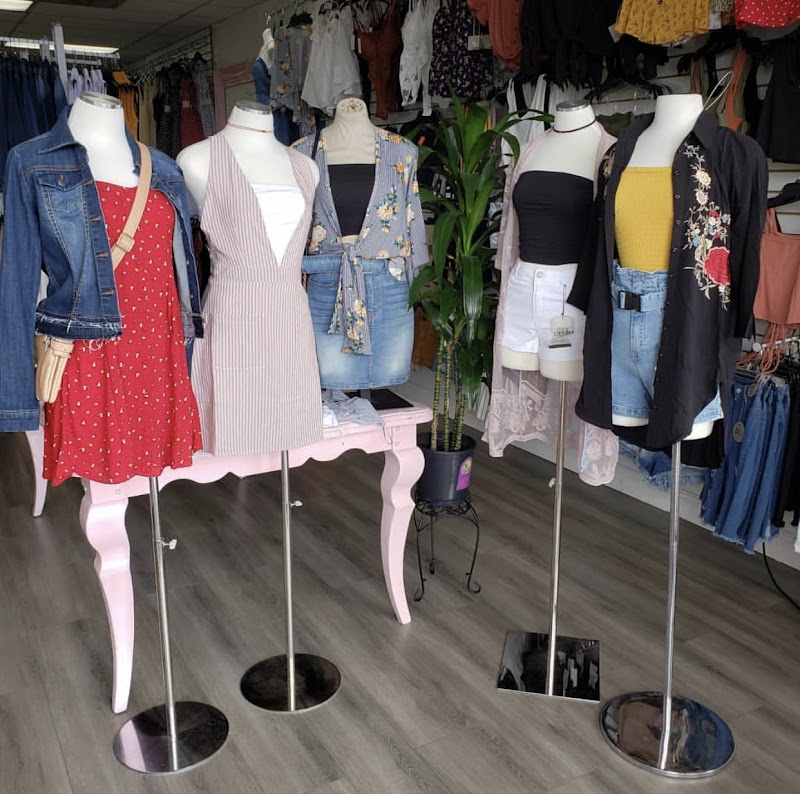 Dollar Boutique & Co.