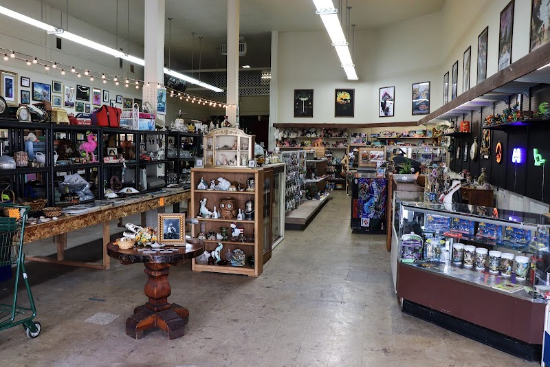 The Regal Raptor Thrift Store