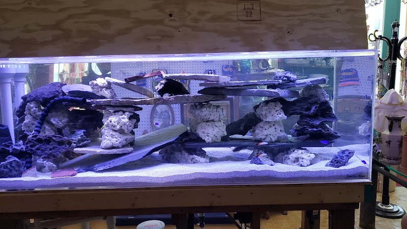 Love Me Two Times on Main