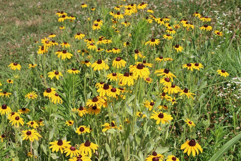 Seventh Heaven Farms