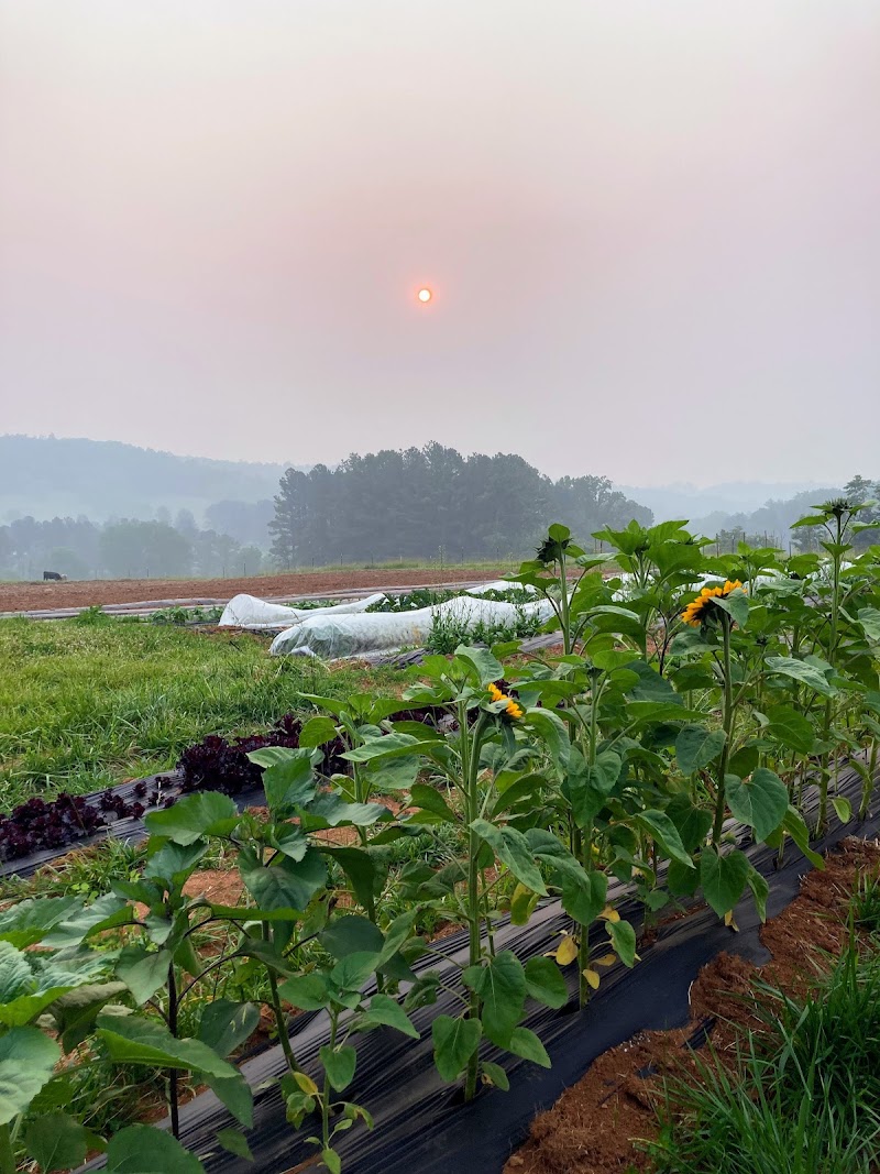 Abundant Acres Farm LLC