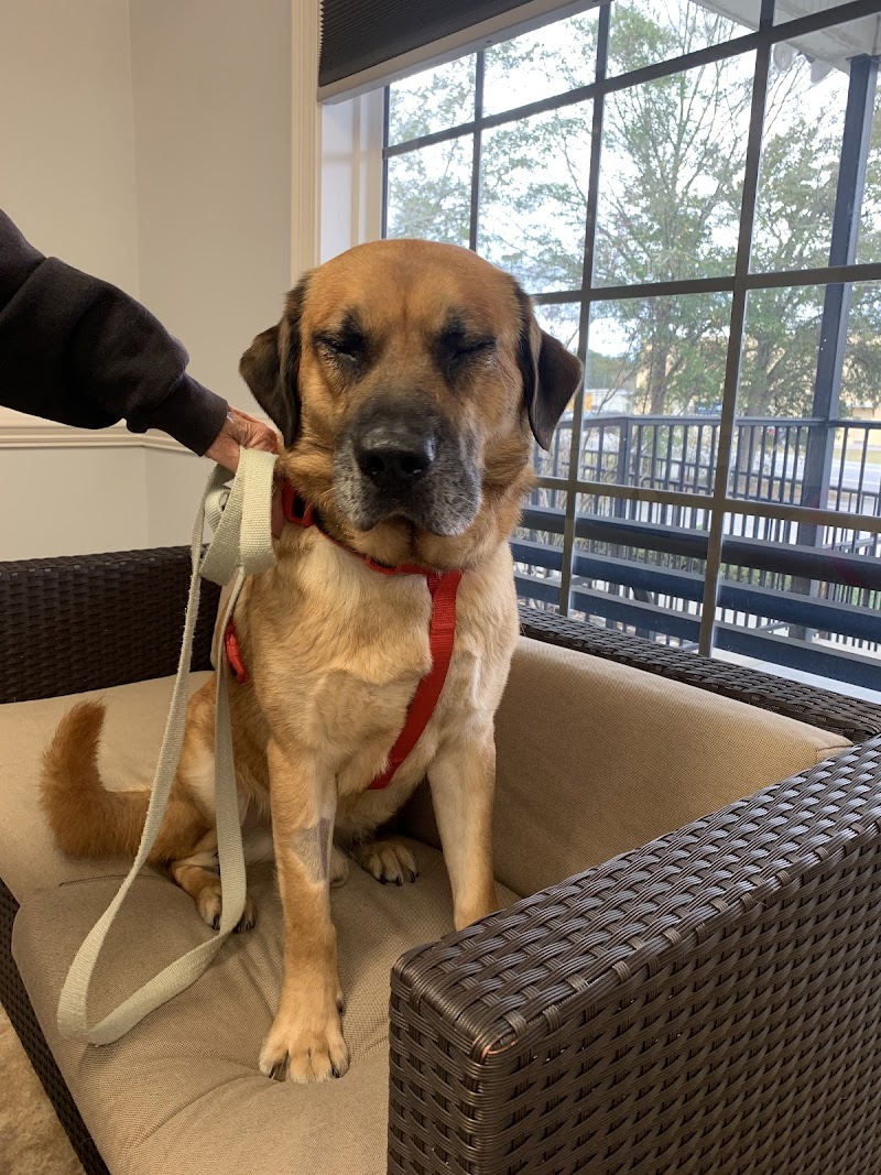 Elgin Veterinary Hospital