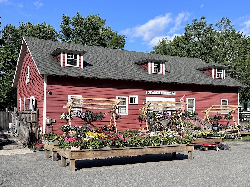 Boston Hill Farm
