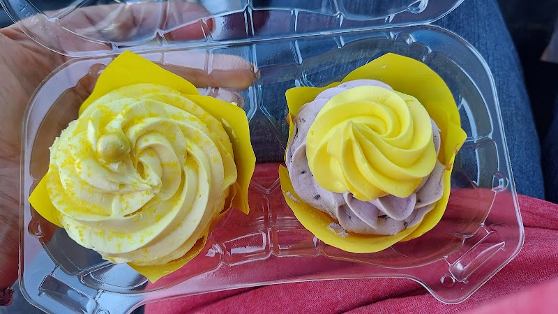 Sunshine Cupcakes