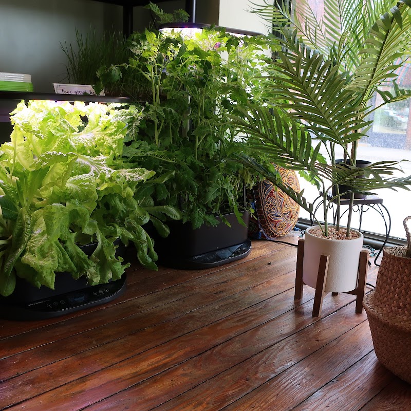 Beautiful You By Denise