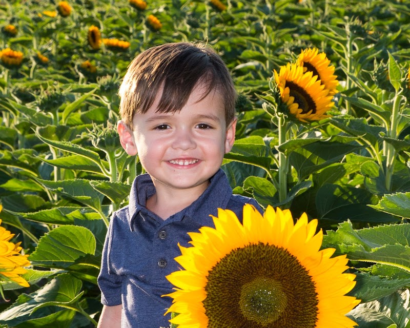 Tenth Street Photography