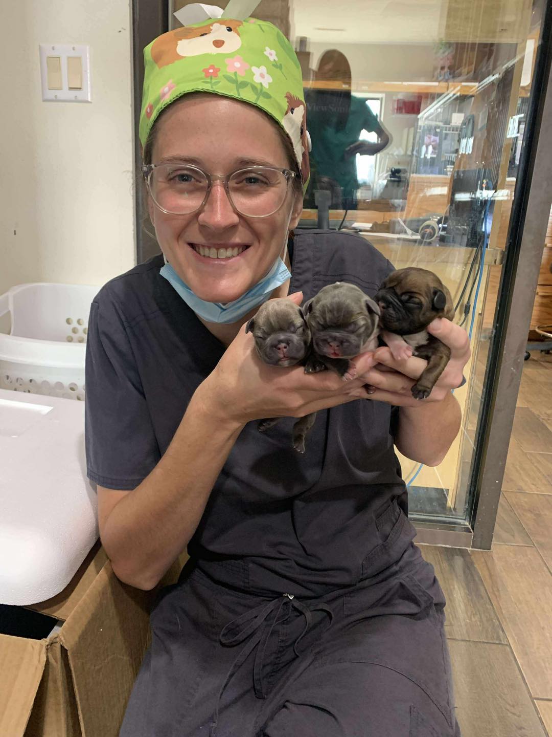 Cooperative Veterinary Care - Spring Green Animal Hospital