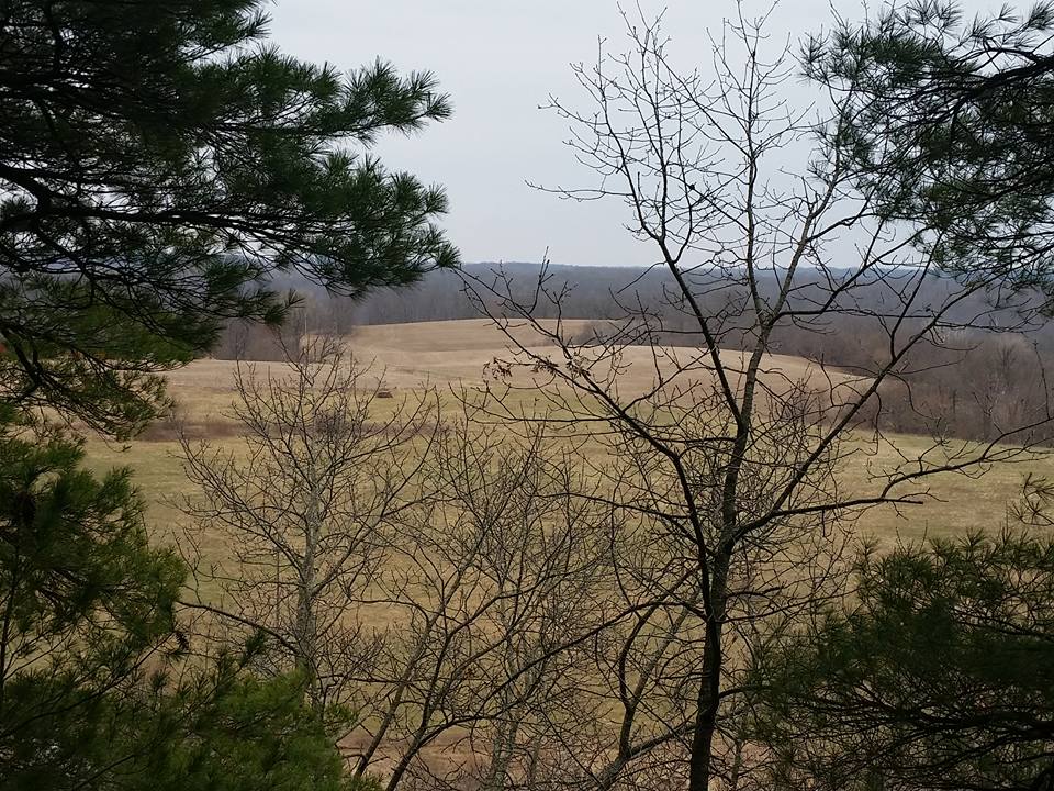 Spring Green Area Chamber of Commerce