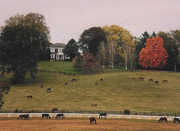 Dogue Creek Farms